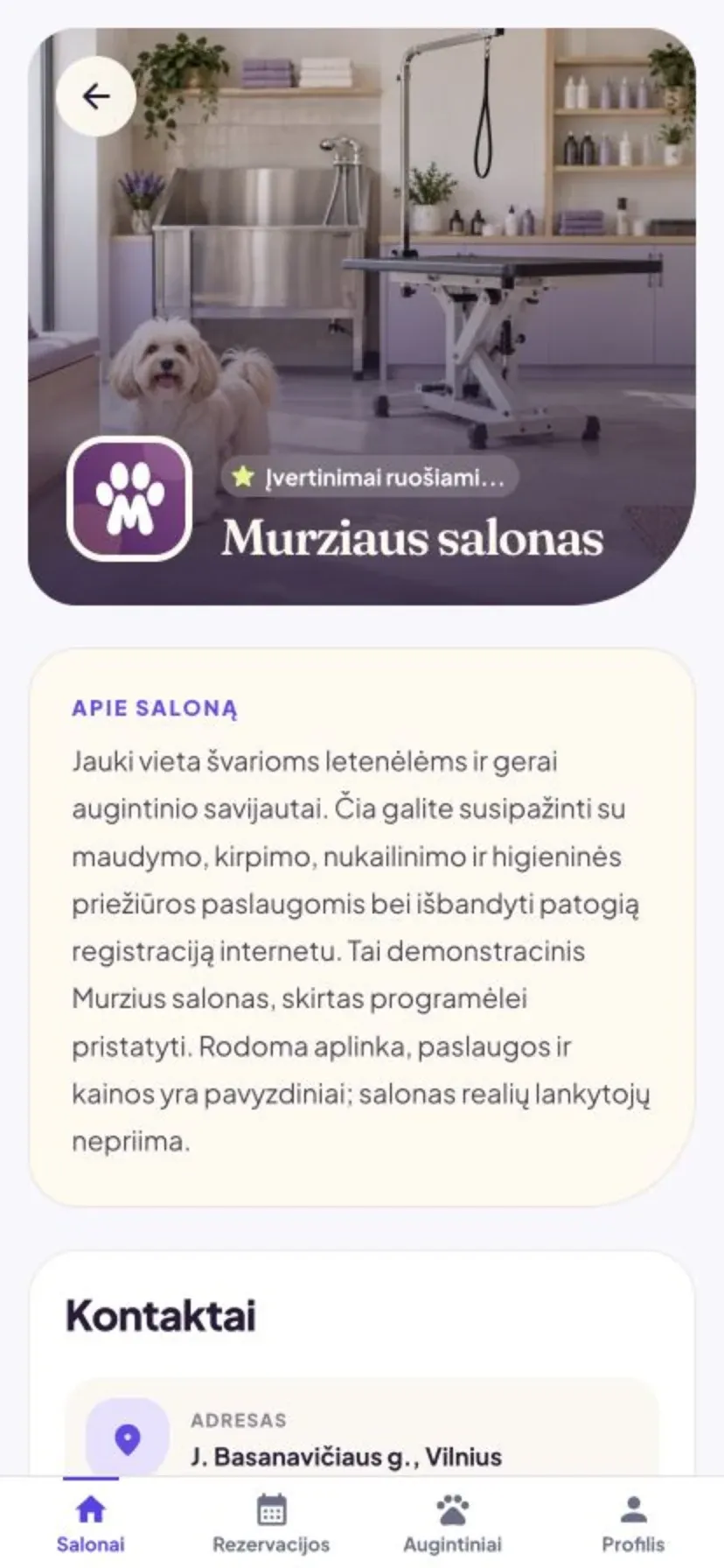 Murzius programėlė: salono puslapis
